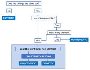 zygosity twin test?