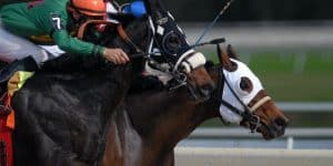 Drugs are Irish racing’s number one problem
