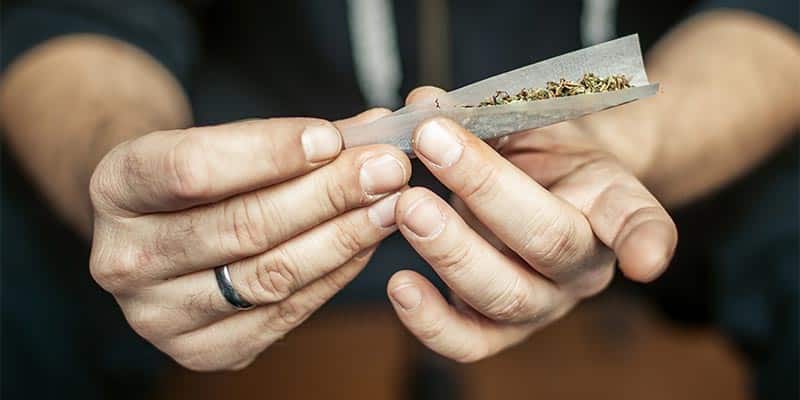 Study finds cannabis use can slow your memory and affect concentration