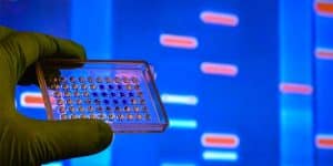 Paternity testing explained – what are DNA markers and how can they tell us who a child’s father is?