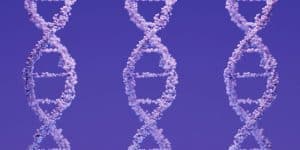 10 amazing DNA facts you may not know