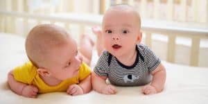 What are the different types of twins?
