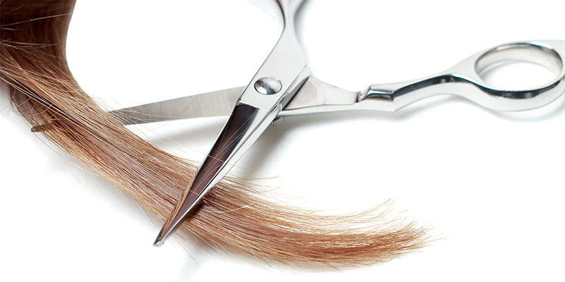 What to expect at a hair sample collection appointment