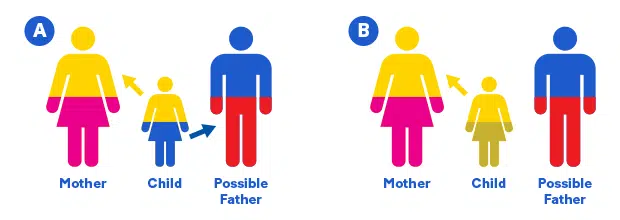 Paternity test case examples