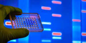 Understanding DNA markers: a helpful guide