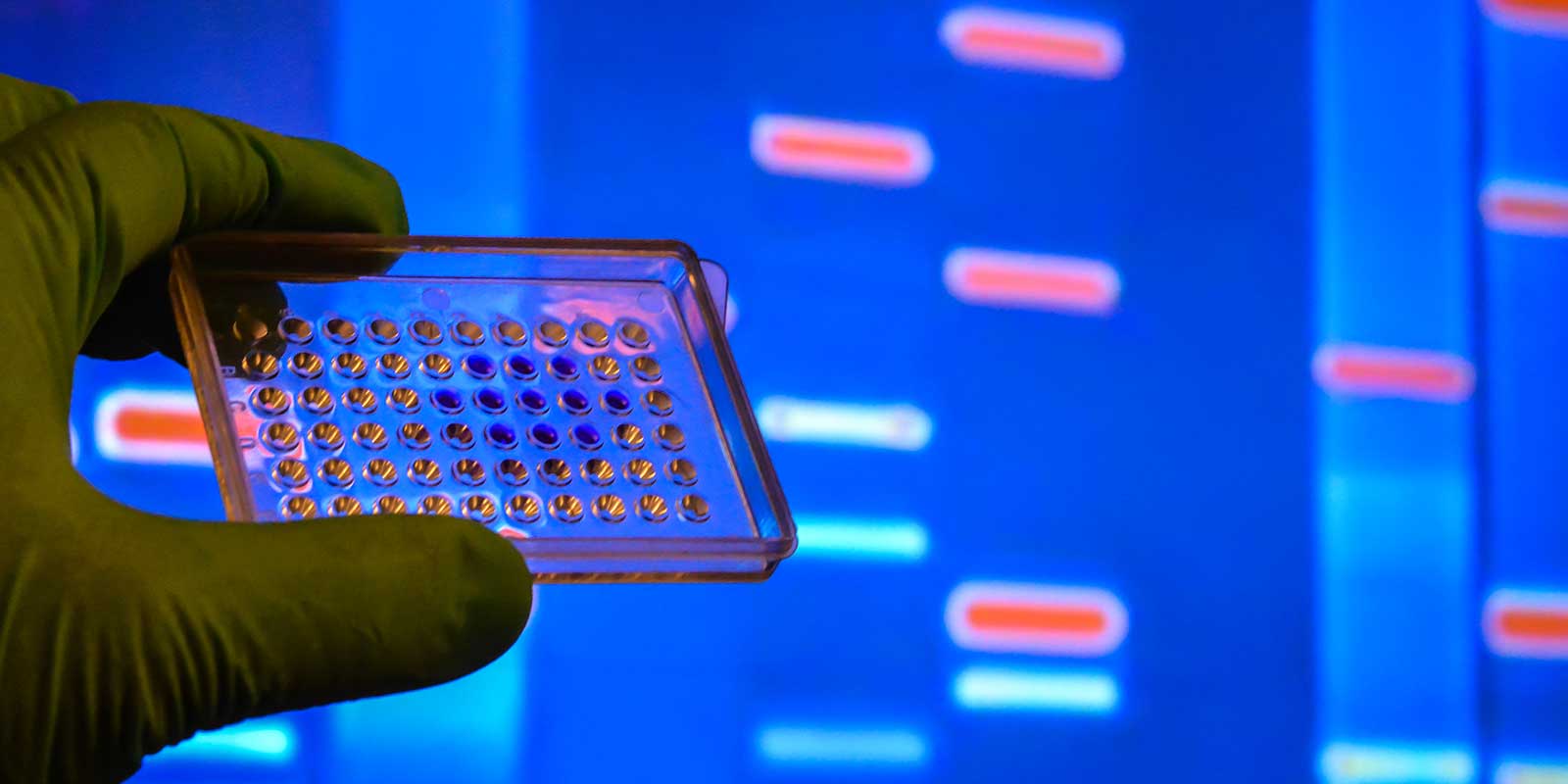 Understanding DNA markers: a helpful guide