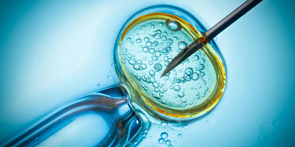 DNA testing and IVF: reassurance, accuracy and peace of mind