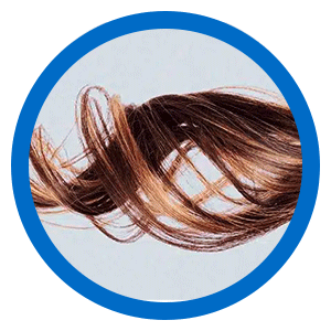 Hair drug test